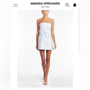 Amanda Uprichard Fae Dress in Toile Brocade